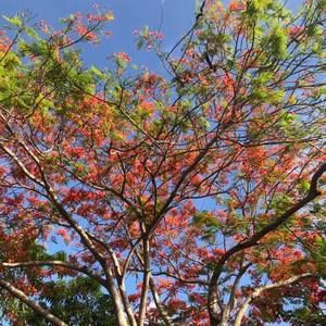 Meet your Posher, Elisabeth